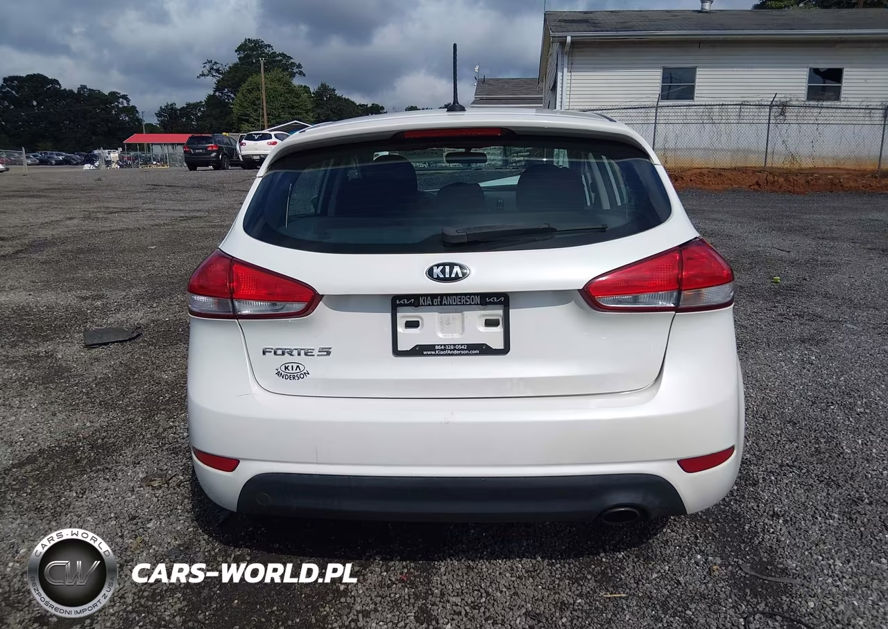 2016 Kia Forte Lx VIN:KNAFK5A81G5592525 - 16