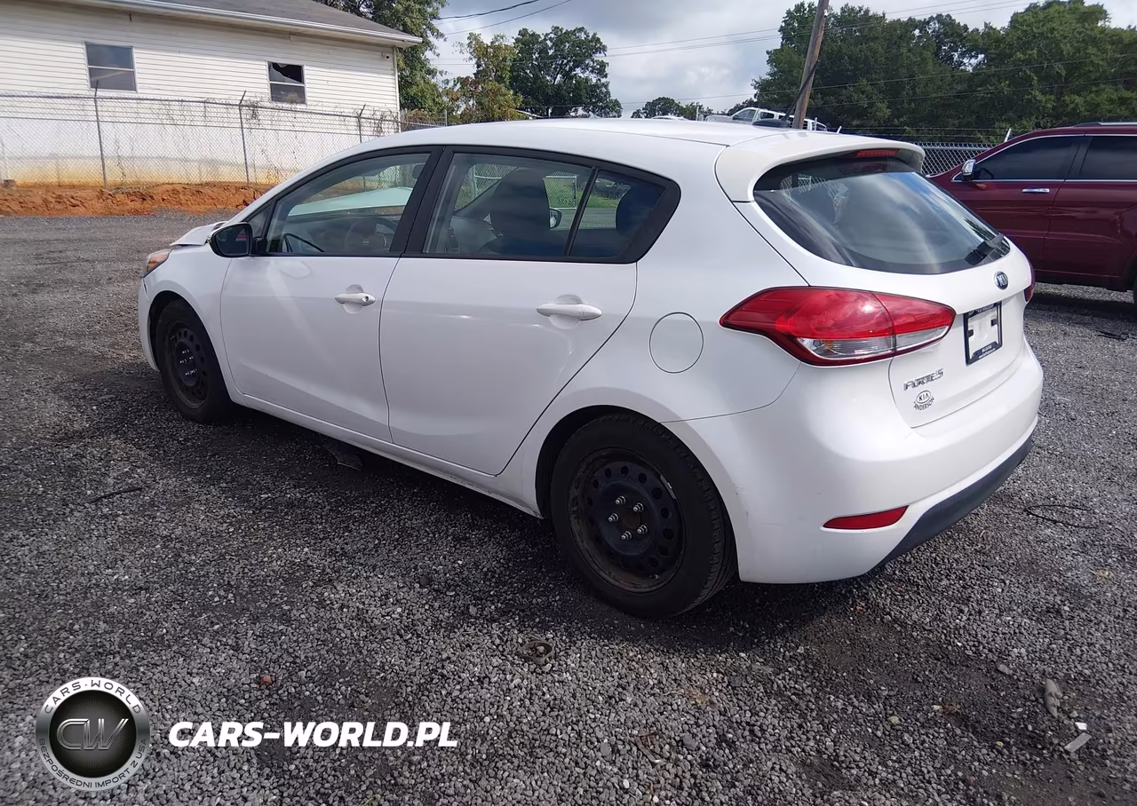 2016 Kia Forte Lx VIN:KNAFK5A81G5592525 - 3
