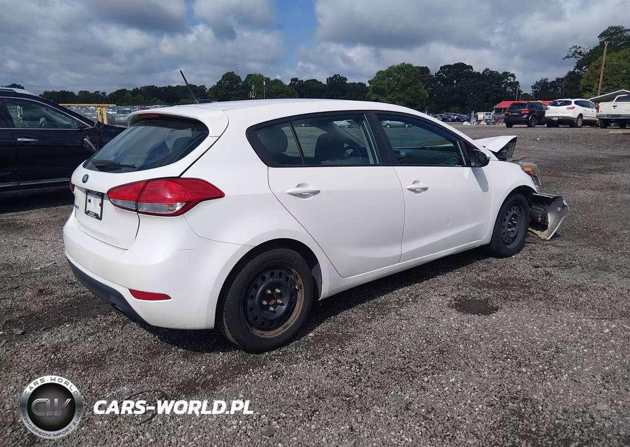 2016 Kia Forte Lx VIN:KNAFK5A81G5592525 - 4