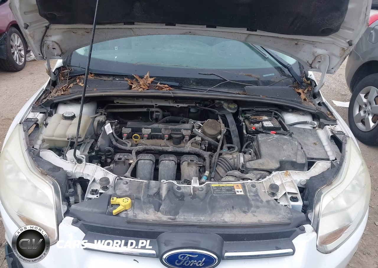 2013 Ford Focus Se VIN:1FADP3F26DL344062 - 10