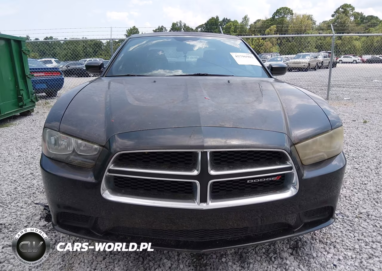 2014 Dodge Charger Se VIN:2C3CDXBGXEH117208 - 12