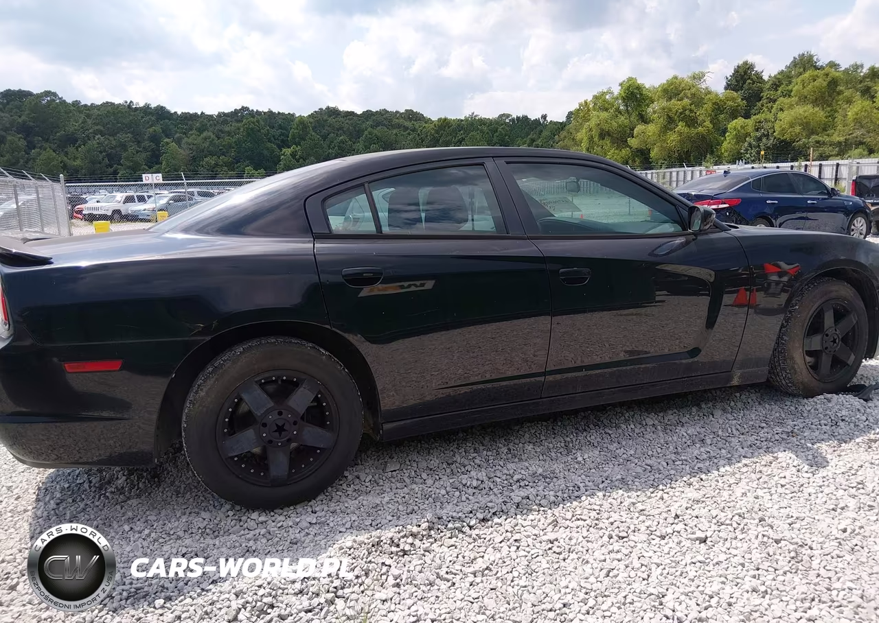 2014 Dodge Charger Se VIN:2C3CDXBGXEH117208 - 13