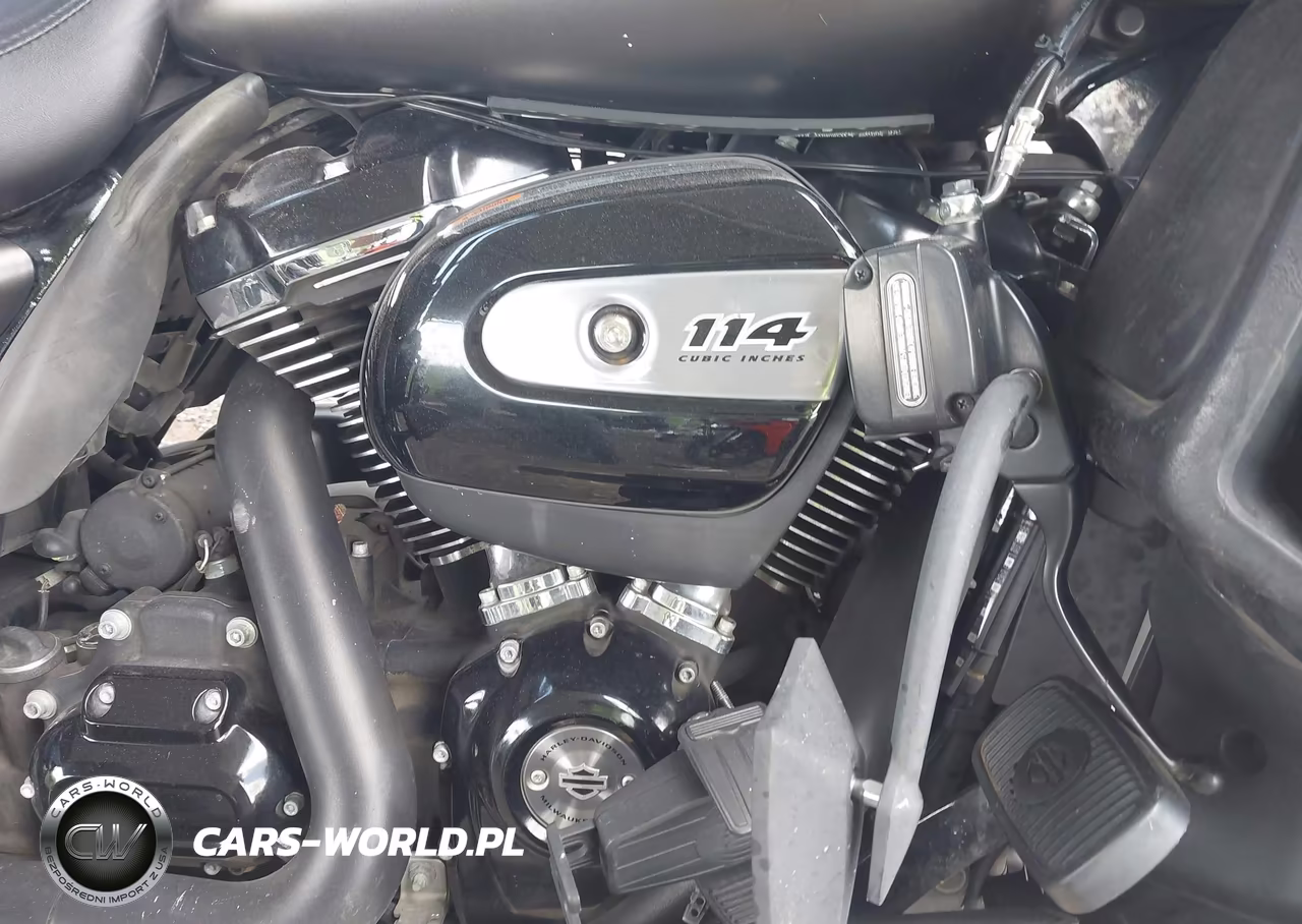 2021 Harley-Davidson Fltrk VIN:1HD1KZF18MB641988 - 8