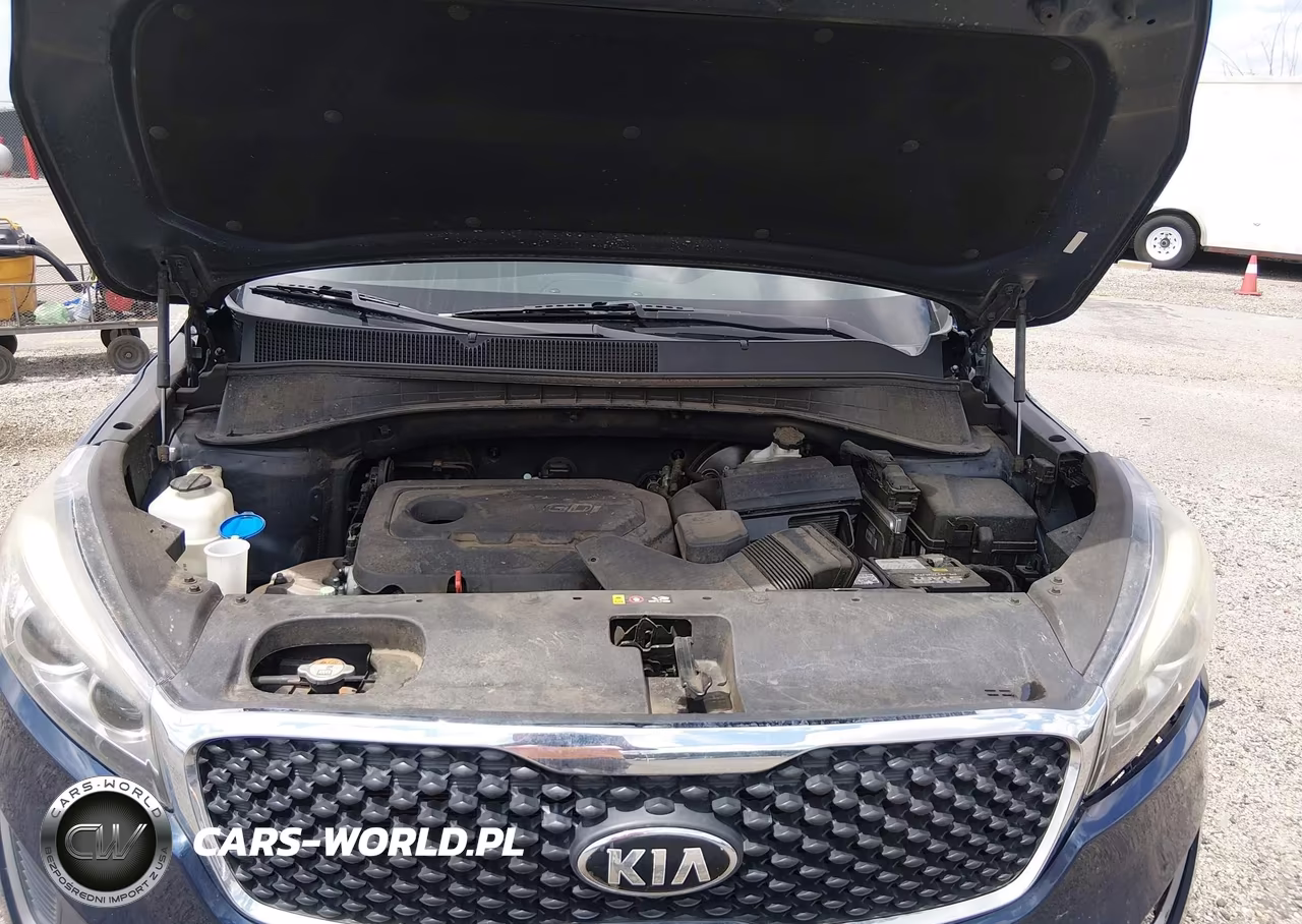 2016 Kia Sorento 2.4L Lx VIN:5XYPG4A37GG168796 - 10