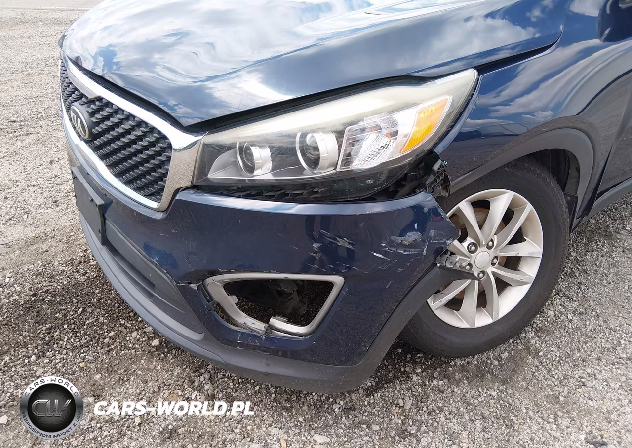 2016 Kia Sorento 2.4L Lx VIN:5XYPG4A37GG168796 - 6