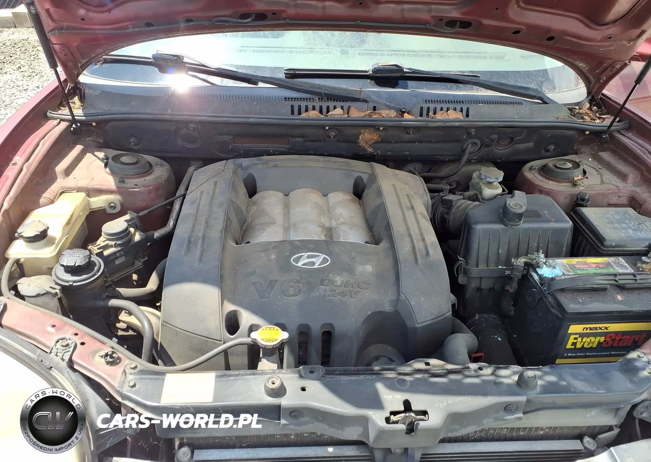 2004 Hyundai Santa Fe Gls-Lx VIN:KM8SC13D64U650496 - 10