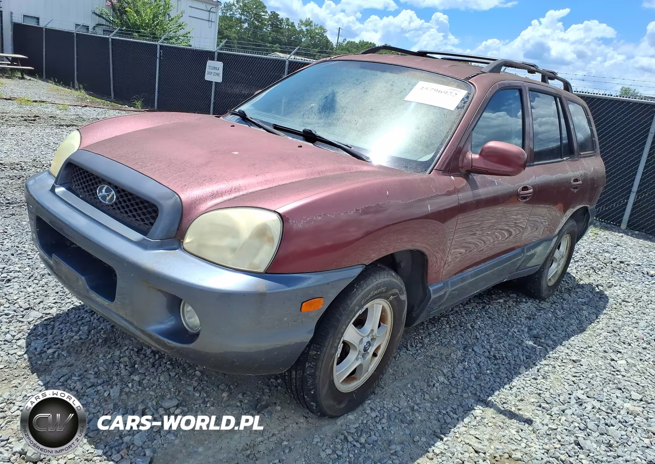 2004 Hyundai Santa Fe Gls-Lx VIN:KM8SC13D64U650496 - 2