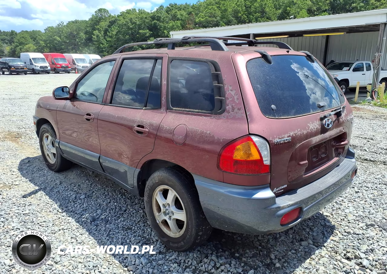 2004 Hyundai Santa Fe Gls-Lx VIN:KM8SC13D64U650496 - 3