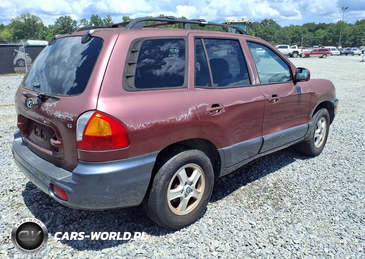 2004 Hyundai Santa Fe Gls-Lx VIN:KM8SC13D64U650496 - 4