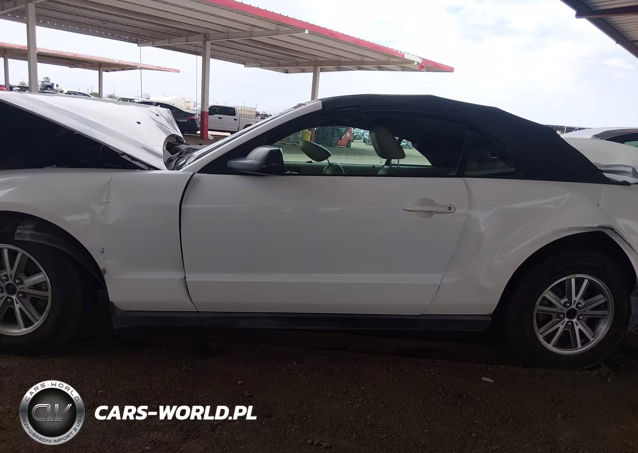2005 Ford Mustang VIN:1ZVFT84N455227589 - 14