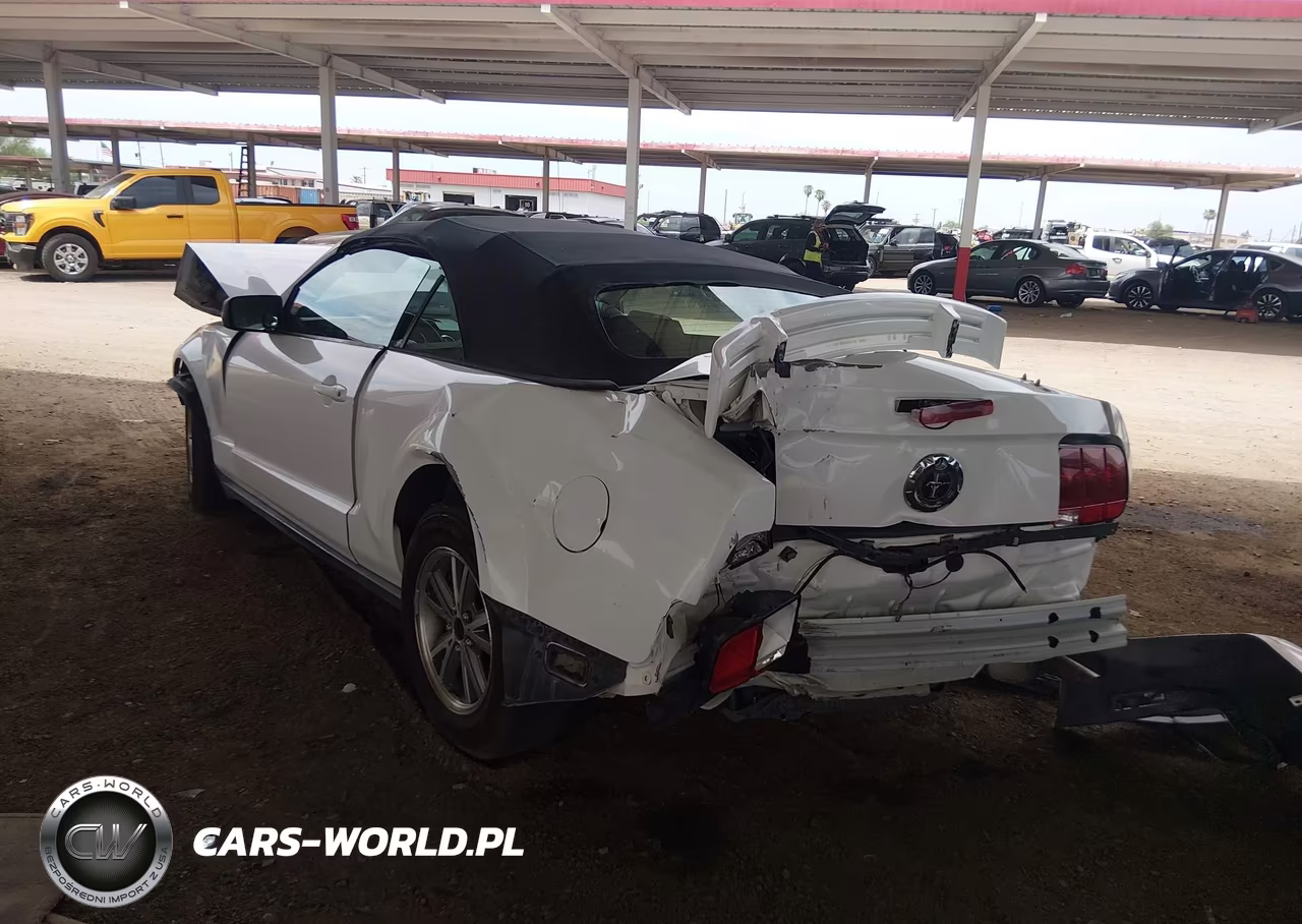 2005 Ford Mustang VIN:1ZVFT84N455227589 - 3