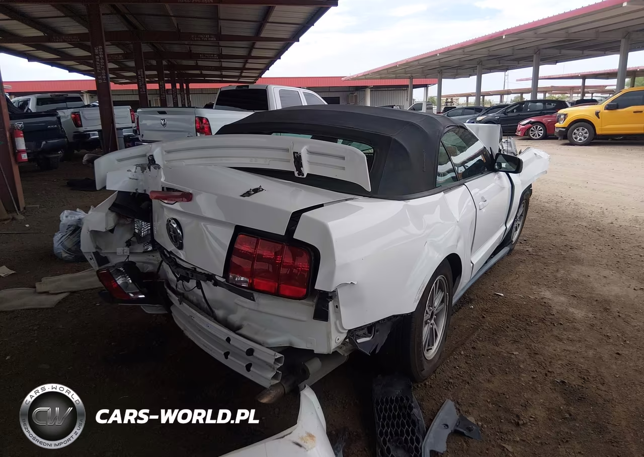 2005 Ford Mustang VIN:1ZVFT84N455227589 - 4