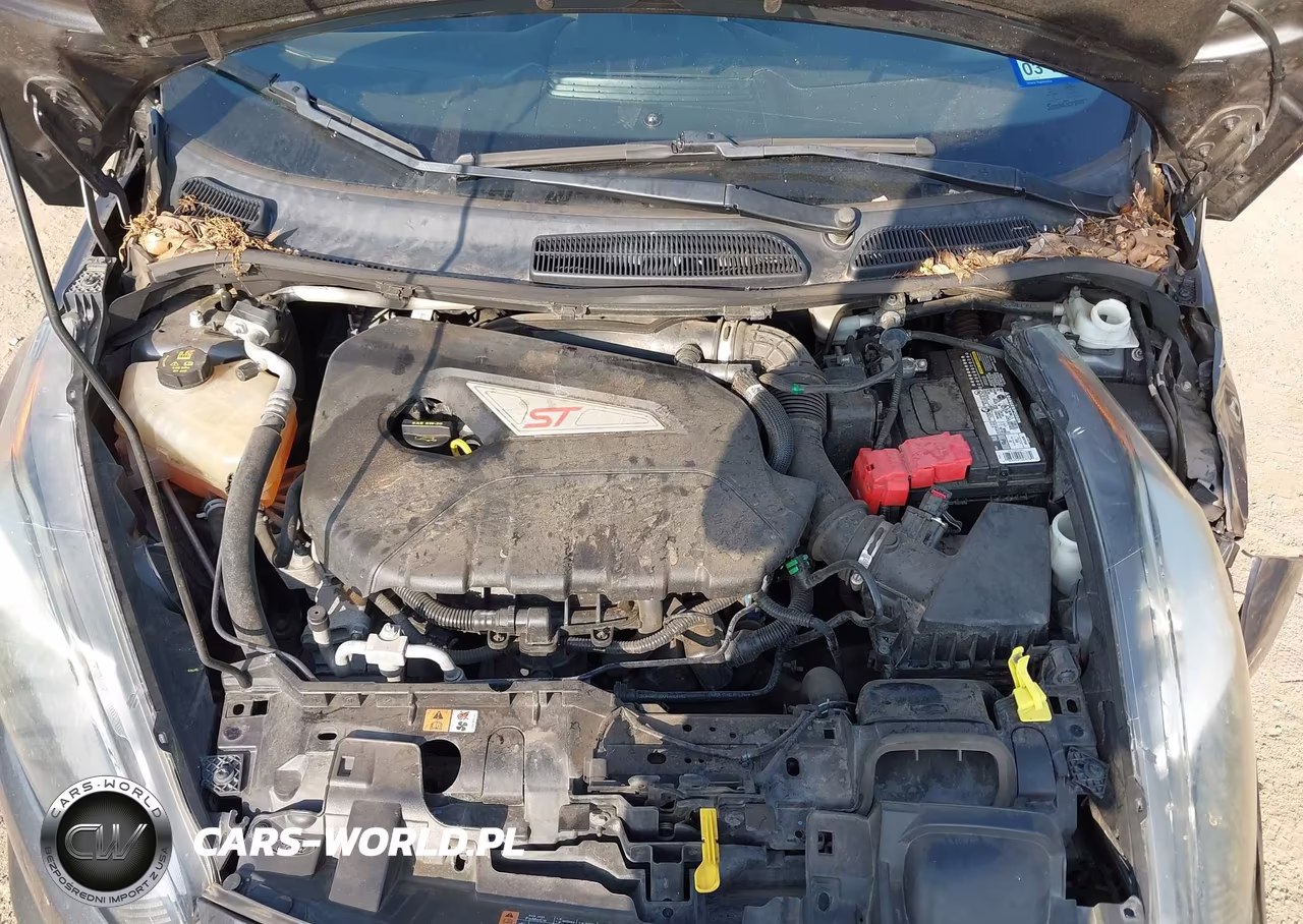 2018 Ford Fiesta St VIN:3FADP4GX6JM129436 - 10