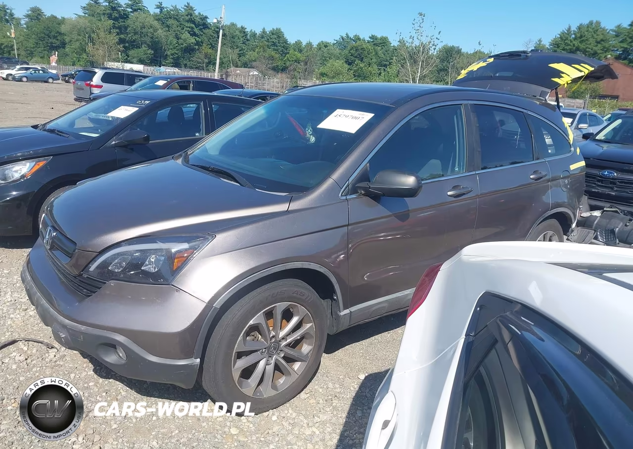 2009 Honda Cr-V Lx VIN:5J6RE48319L016499 - 2