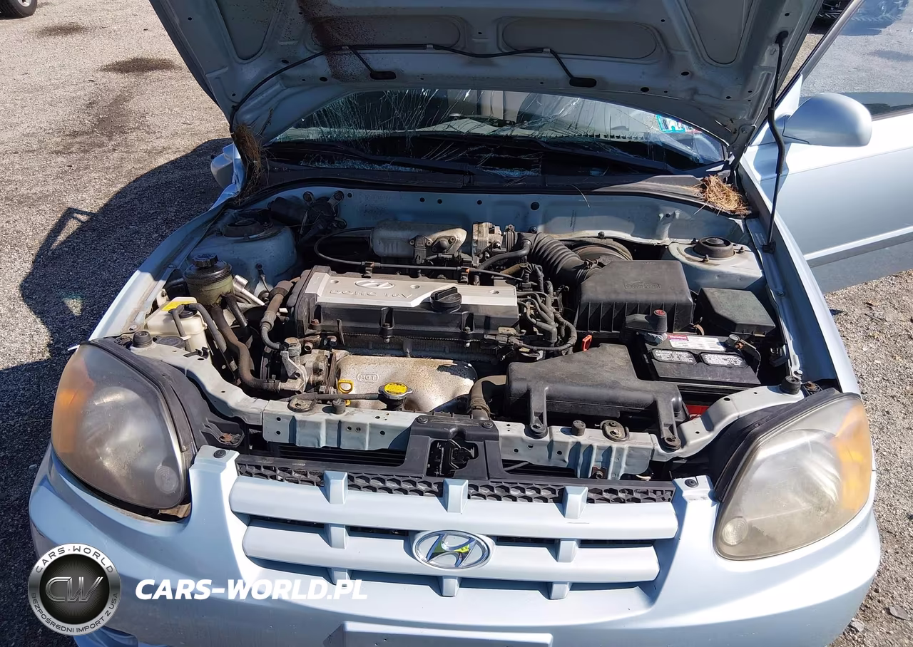 2004 Hyundai Accent Gl-Gt VIN:KMHCG35C74U292656 - 10