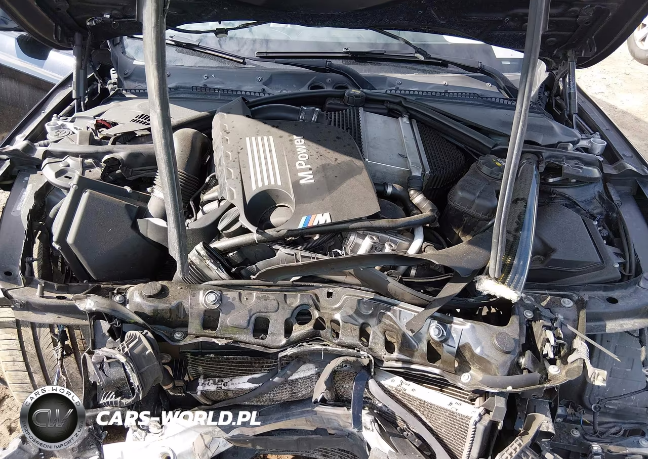 2016 BMW M4 VIN:WBS3R9C55GK335650 - 10