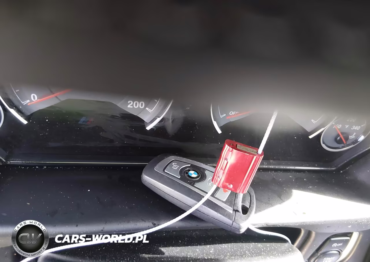 2016 BMW M4 VIN:WBS3R9C55GK335650 - 11