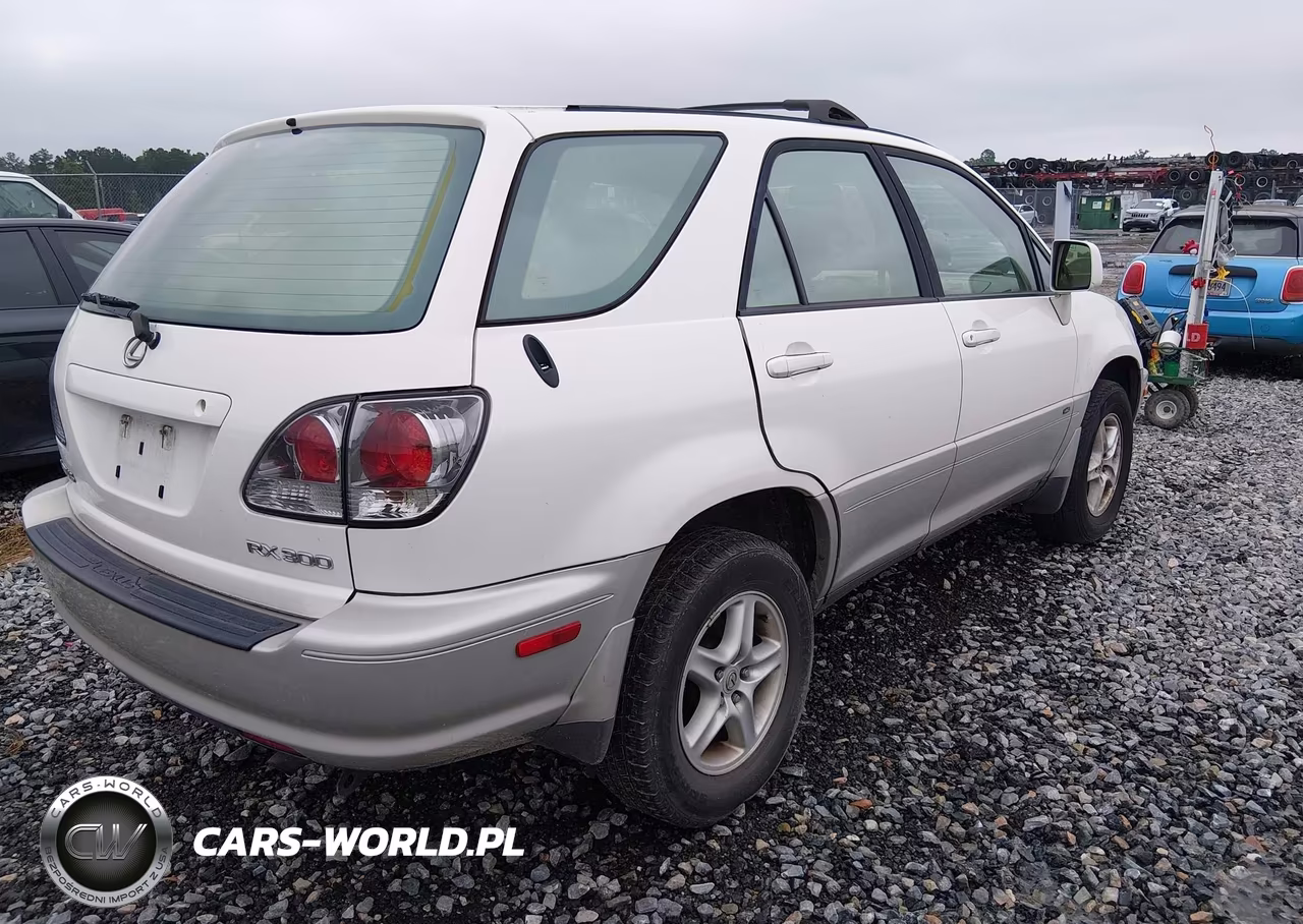 2001 Lexus Rx 300 VIN:JTJGF10UX10100949 - 4
