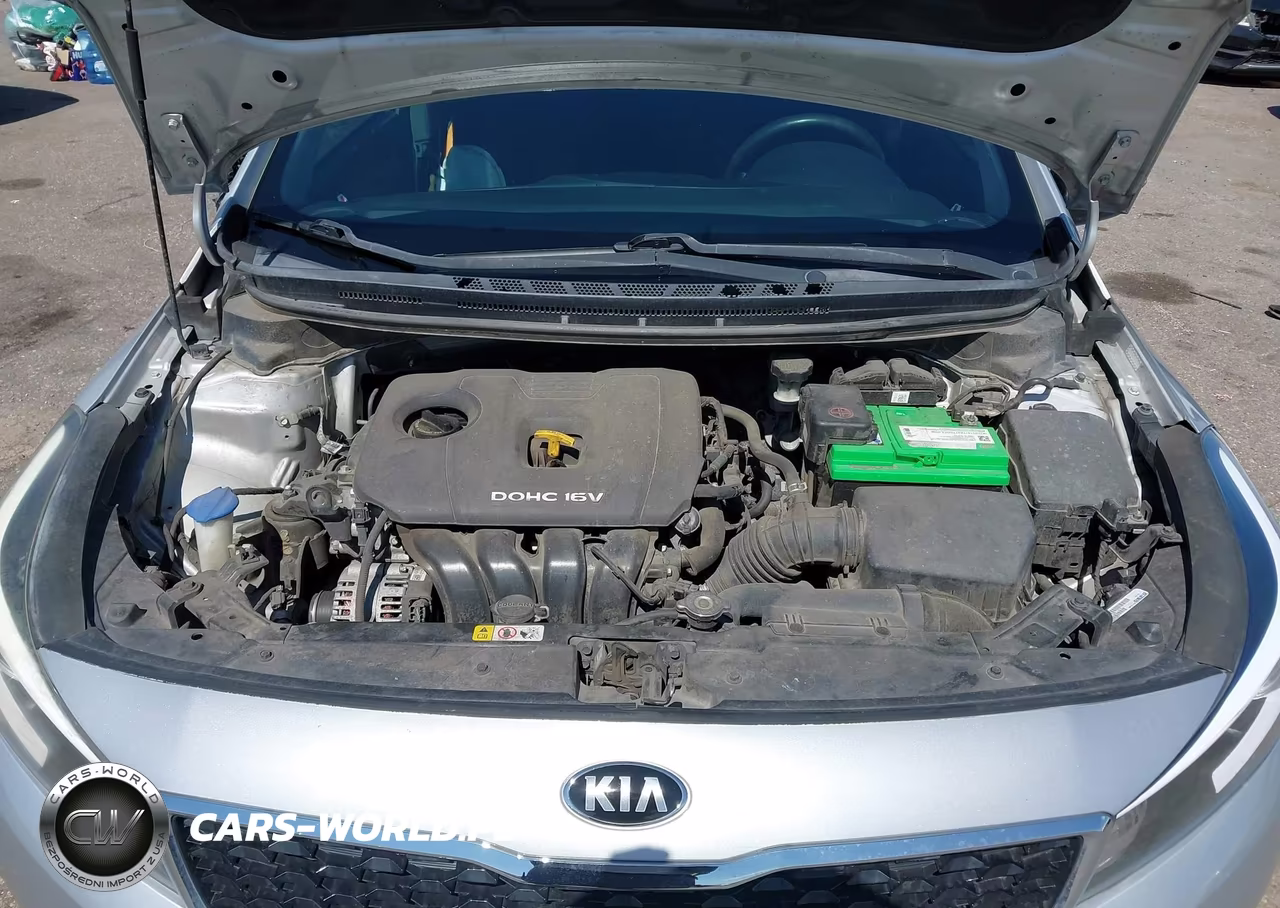2017 Kia Forte Lx VIN:3KPFK4A74HE017779 - 10