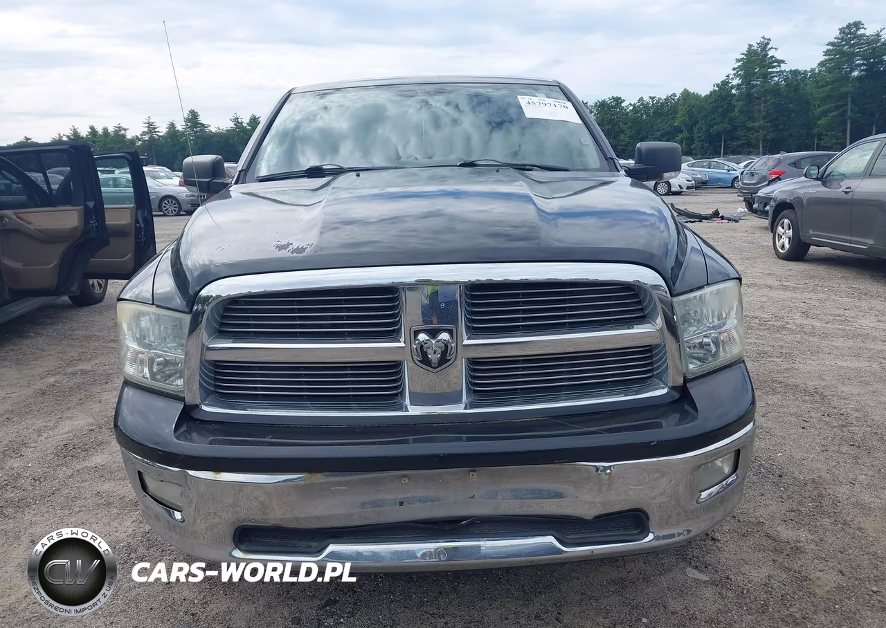 2010 Dodge Ram 1500 Slt-Sport-Trx VIN:1D7RV1CT3AS144447 - 12