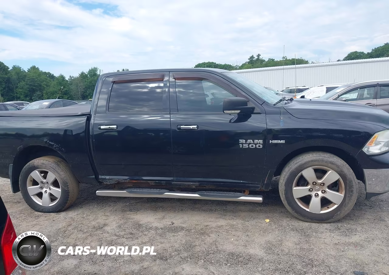 2010 Dodge Ram 1500 Slt-Sport-Trx VIN:1D7RV1CT3AS144447 - 13