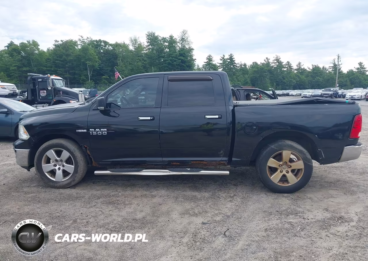 2010 Dodge Ram 1500 Slt-Sport-Trx VIN:1D7RV1CT3AS144447 - 14