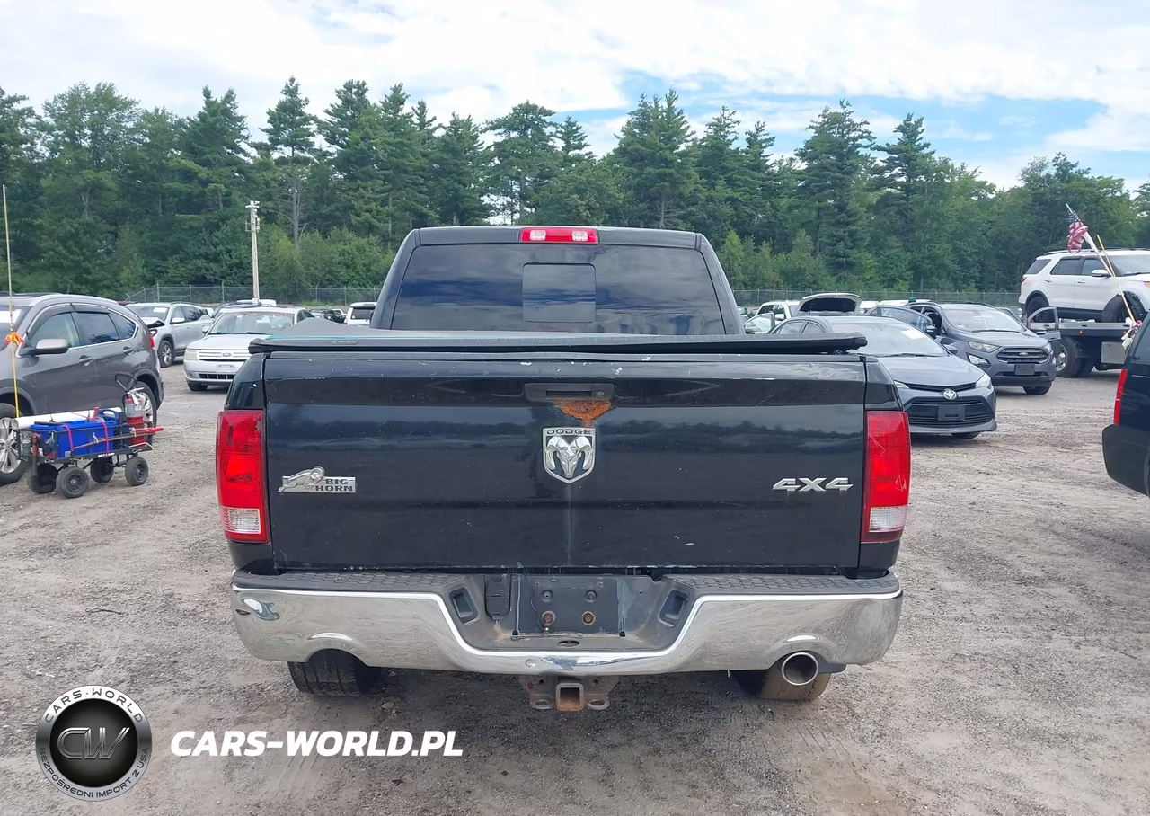 2010 Dodge Ram 1500 Slt-Sport-Trx VIN:1D7RV1CT3AS144447 - 16