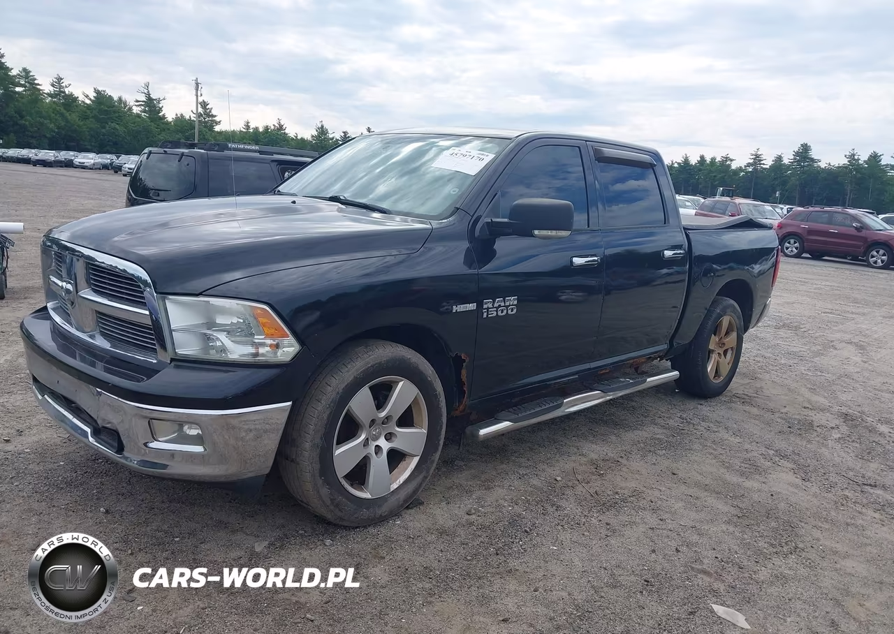 2010 Dodge Ram 1500 Slt-Sport-Trx VIN:1D7RV1CT3AS144447 - 2