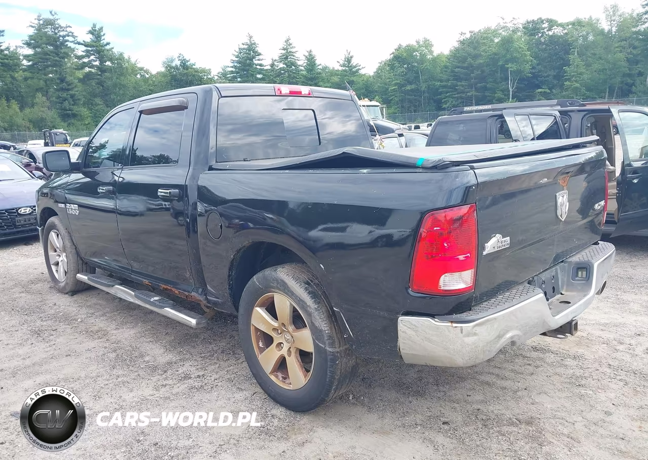 2010 Dodge Ram 1500 Slt-Sport-Trx VIN:1D7RV1CT3AS144447 - 3