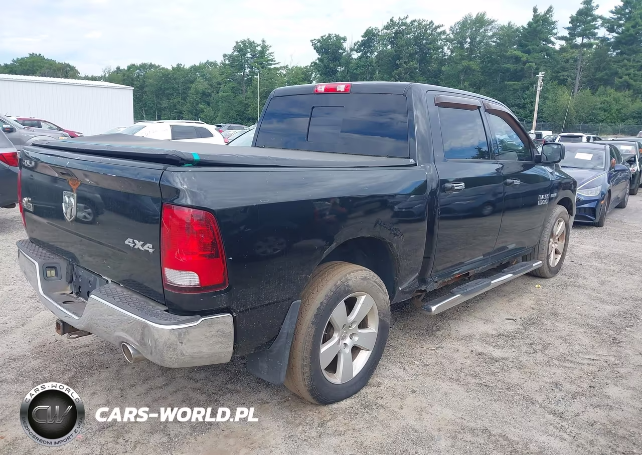 2010 Dodge Ram 1500 Slt-Sport-Trx VIN:1D7RV1CT3AS144447 - 4