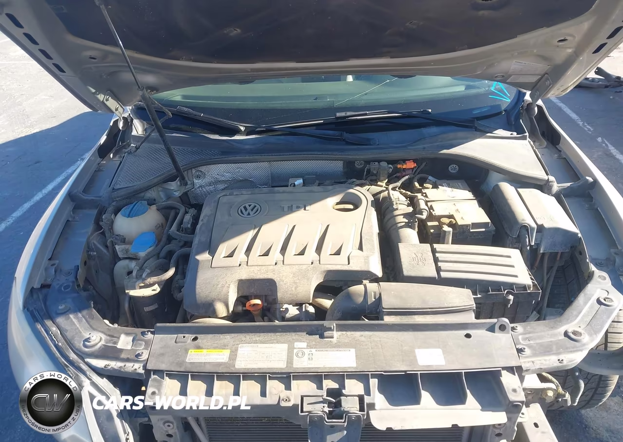 2013 Volkswagen Passat 2.0L Tdi Sel Premium VIN:1VWCN7A37DC108357 - 10