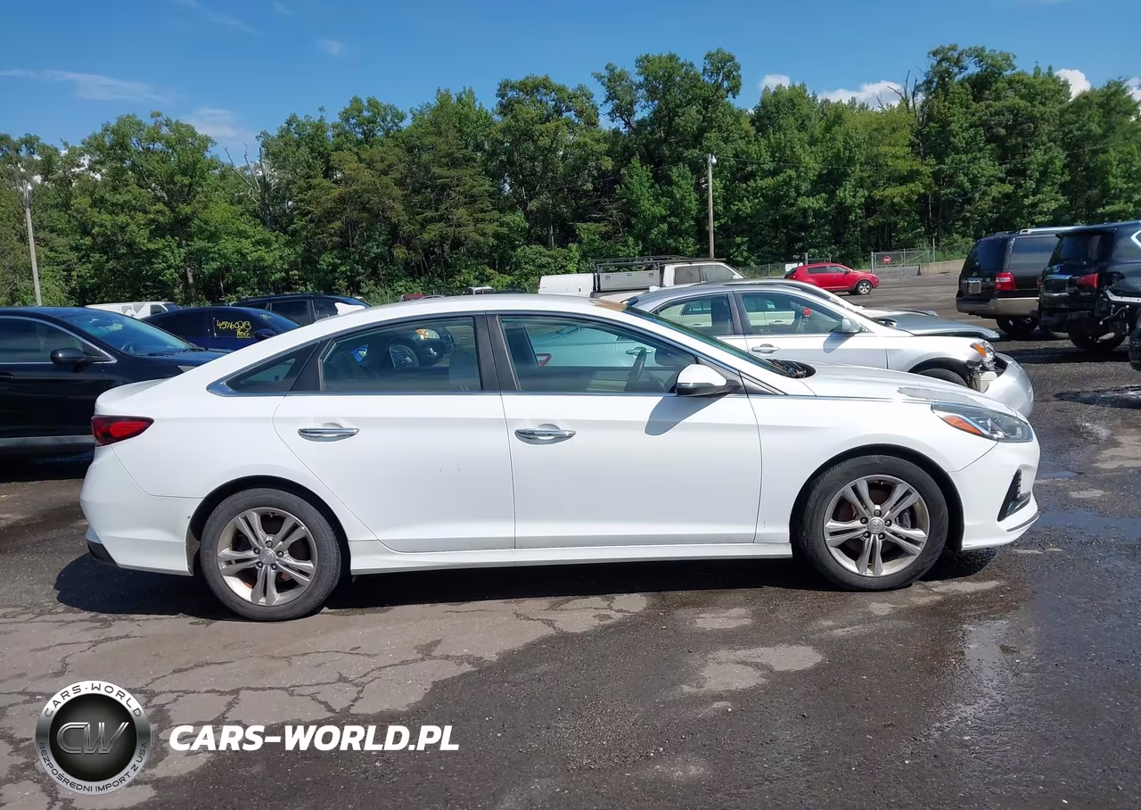 2018 Hyundai Sonata Sel VIN:5NPE34AF2JH601616 - 13