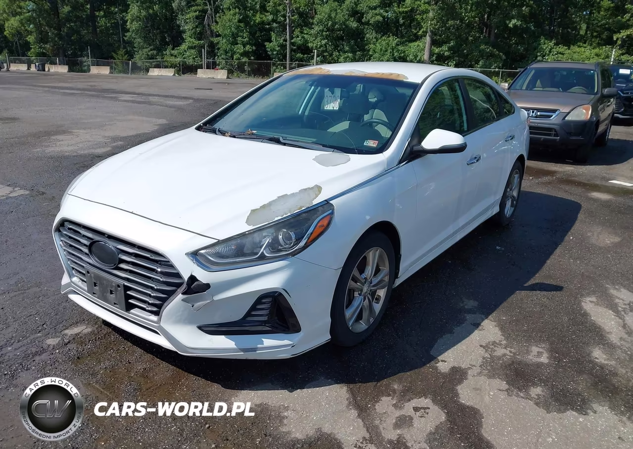 2018 Hyundai Sonata Sel VIN:5NPE34AF2JH601616 - 2