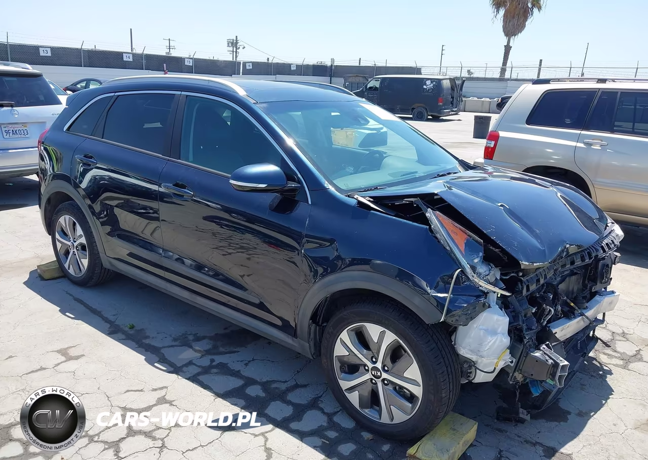 2019 Kia Niro Ev Ex Premium