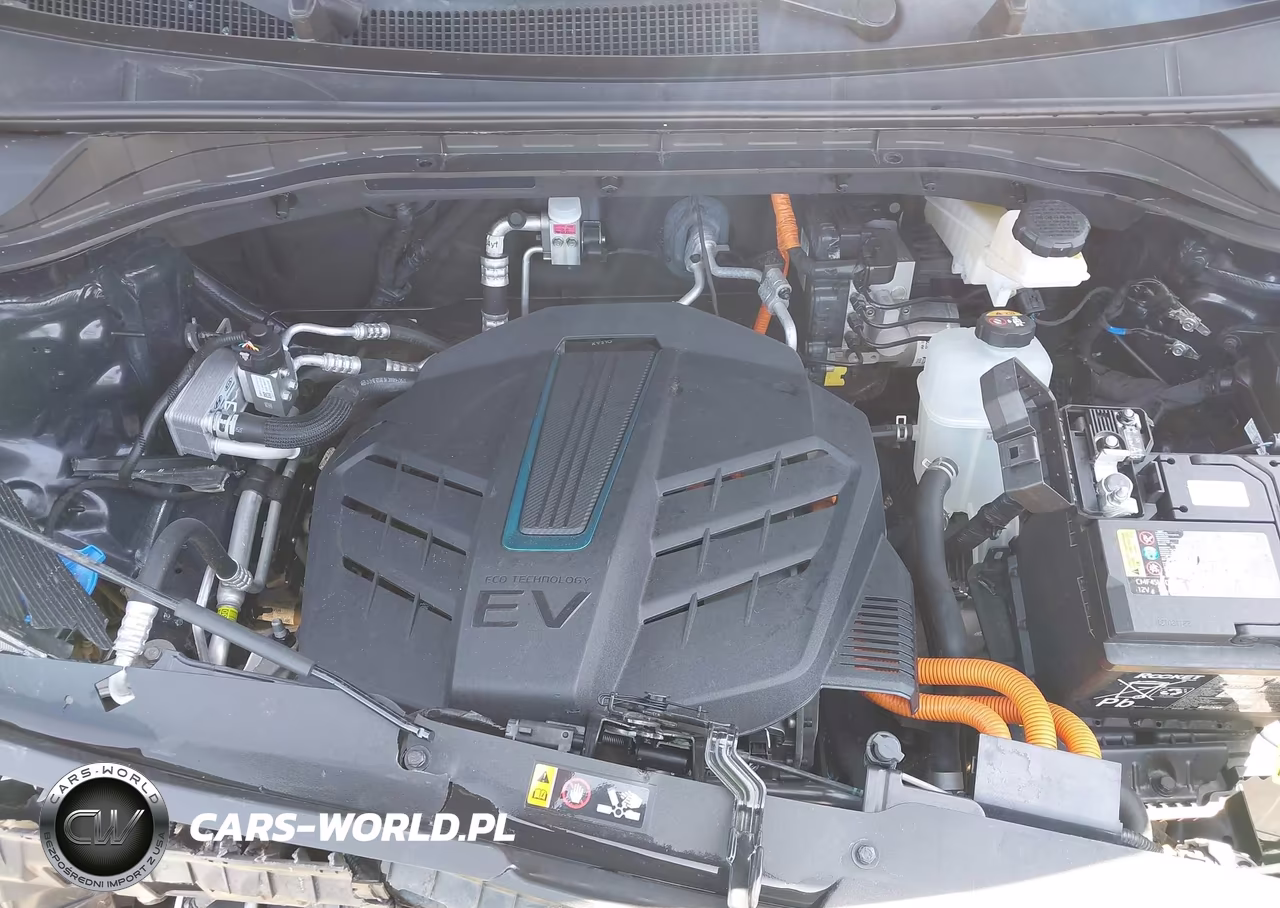 2019 Kia Niro Ev Ex Premium VIN:KNDCE3LG8K5030295 - 10