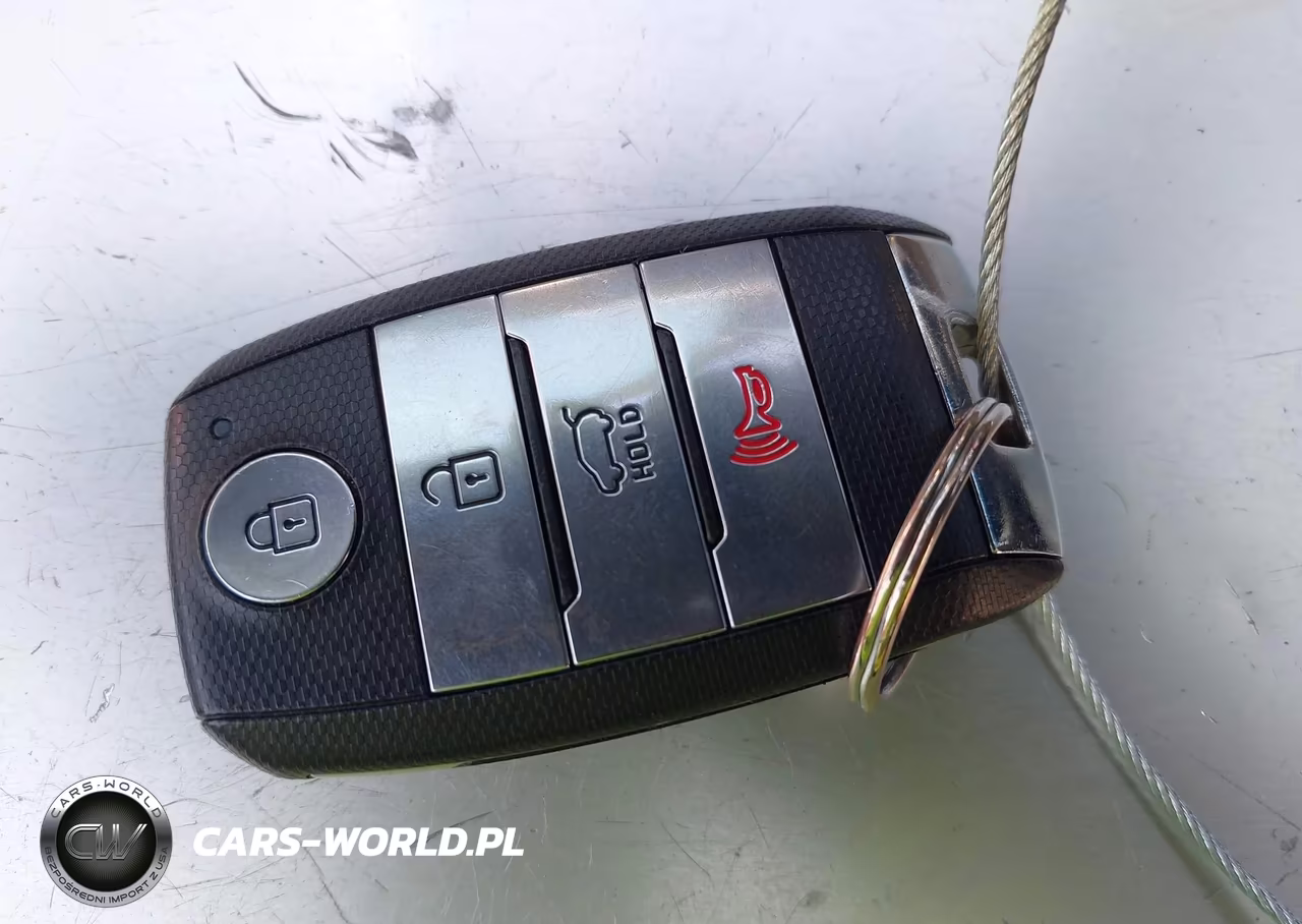 2019 Kia Niro Ev Ex Premium VIN:KNDCE3LG8K5030295 - 11