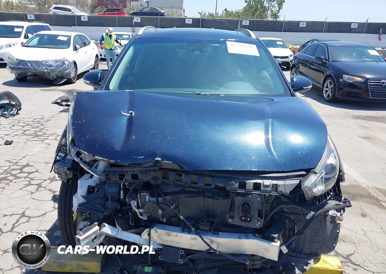 2019 Kia Niro Ev Ex Premium VIN:KNDCE3LG8K5030295 - 13