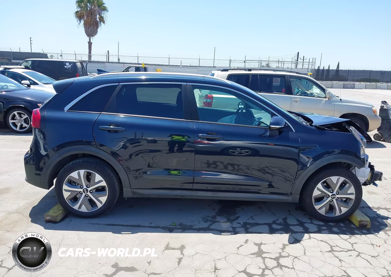 2019 Kia Niro Ev Ex Premium VIN:KNDCE3LG8K5030295 - 14