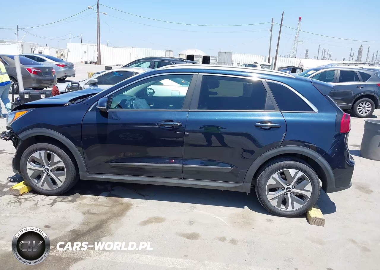 2019 Kia Niro Ev Ex Premium VIN:KNDCE3LG8K5030295 - 15