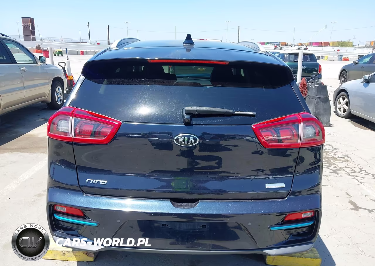 2019 Kia Niro Ev Ex Premium VIN:KNDCE3LG8K5030295 - 17