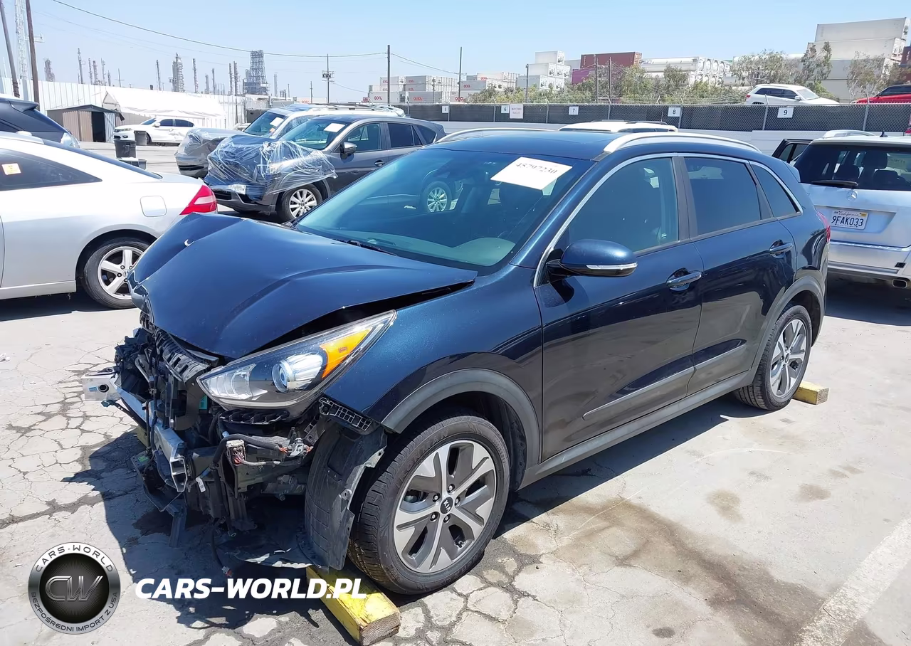2019 Kia Niro Ev Ex Premium VIN:KNDCE3LG8K5030295 - 2