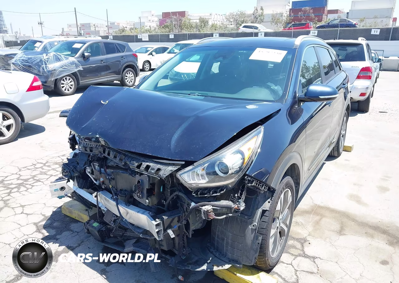 2019 Kia Niro Ev Ex Premium VIN:KNDCE3LG8K5030295 - 6