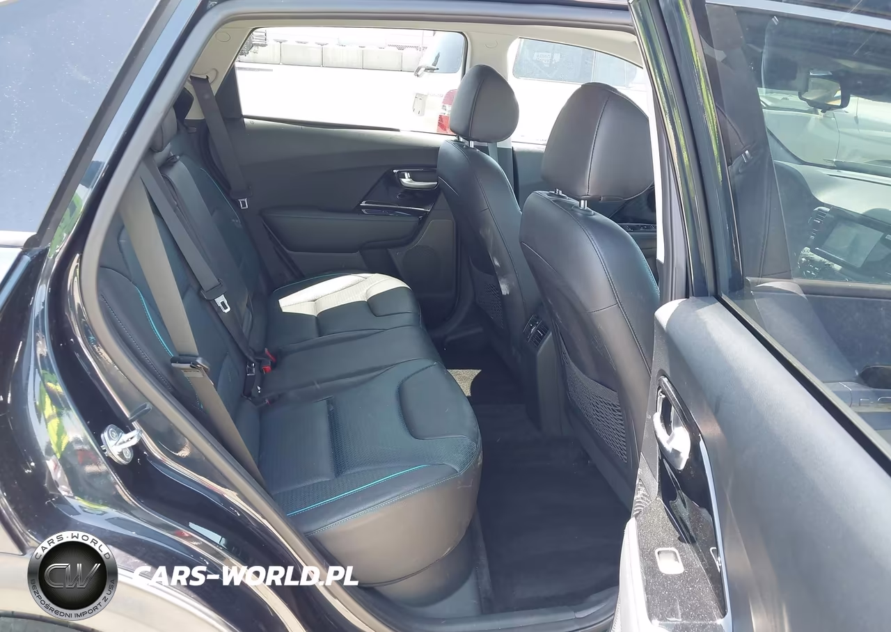 2019 Kia Niro Ev Ex Premium VIN:KNDCE3LG8K5030295 - 8