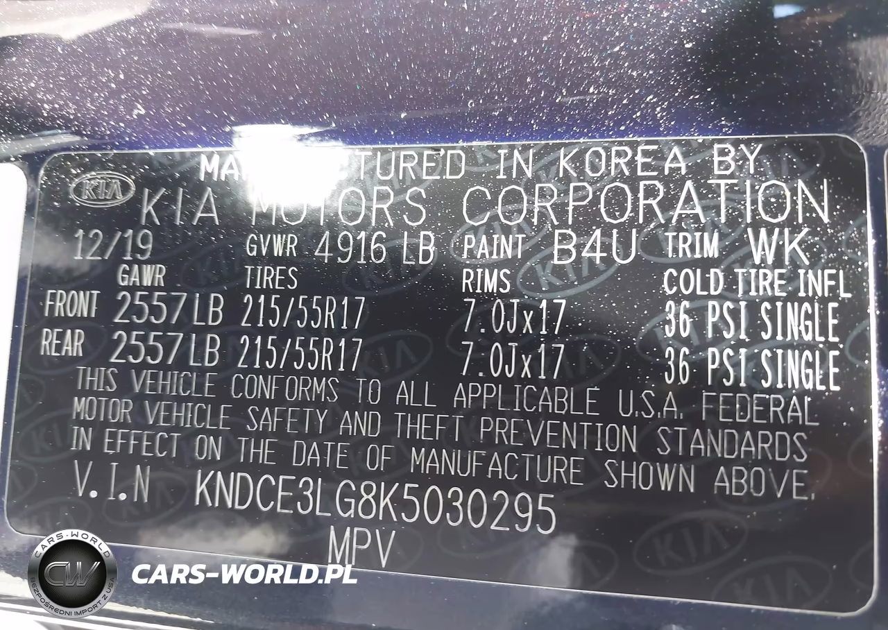 2019 Kia Niro Ev Ex Premium VIN:KNDCE3LG8K5030295 - 9