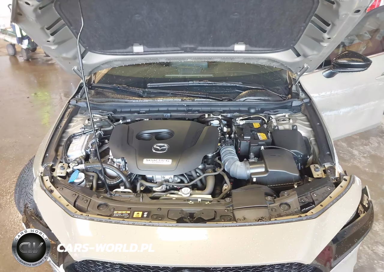 2025 Mazda Mazda3 2.5 Carbon Turbo VIN:JM1BPBYY8S1751497 - 10