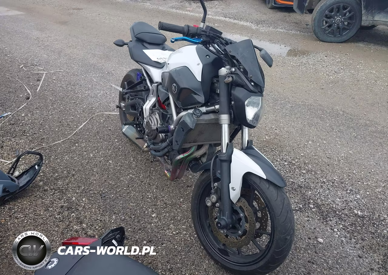 2015 Yamaha Fz07