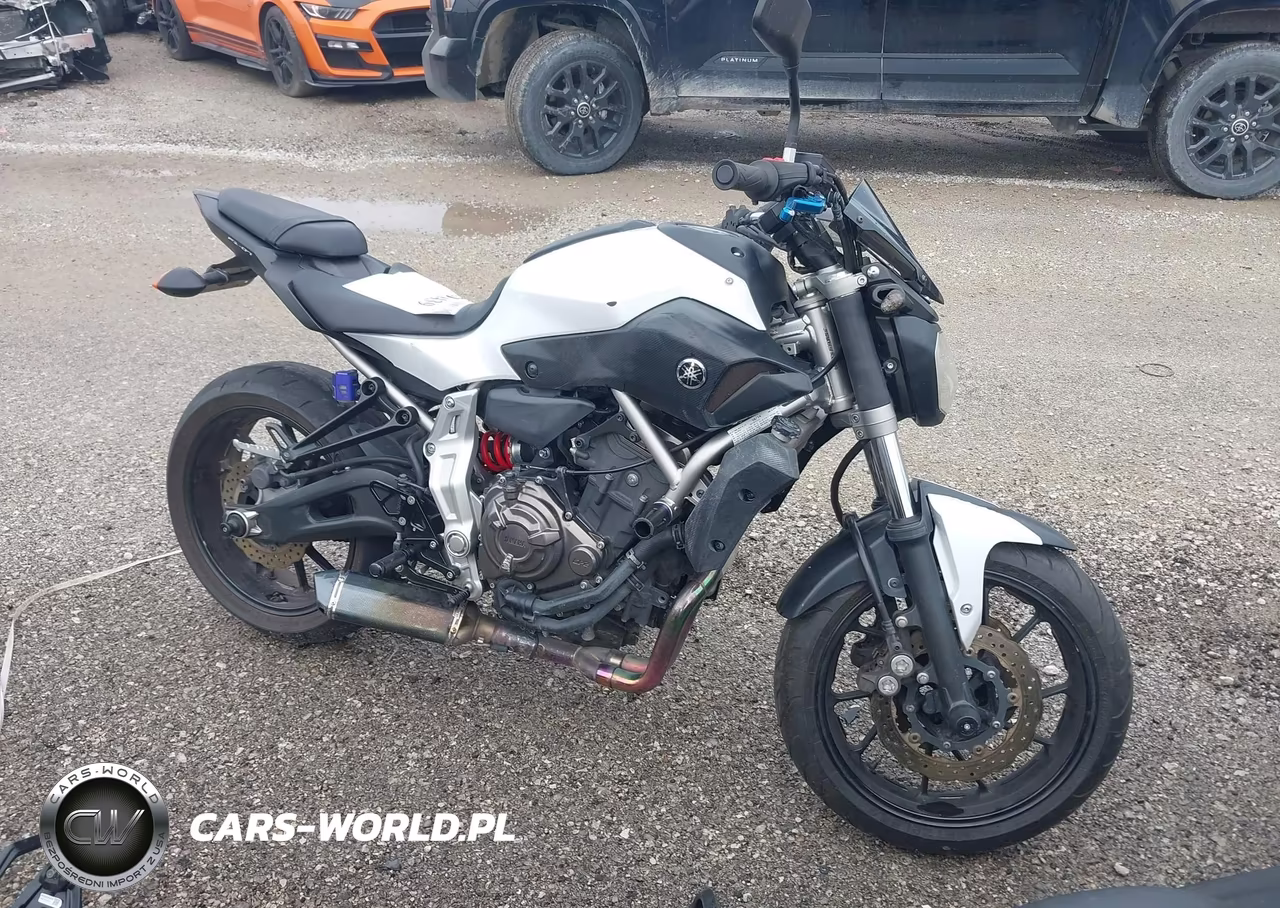 2015 Yamaha Fz07 VIN:JYARM06E6FA002249 - 11