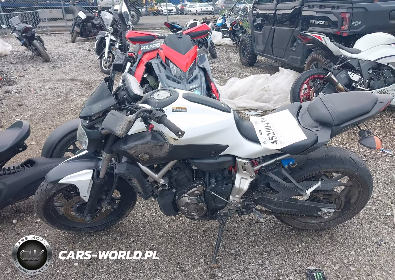 2015 Yamaha Fz07 VIN:JYARM06E6FA002249 - 12