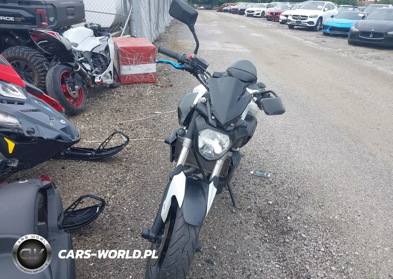 2015 Yamaha Fz07 VIN:JYARM06E6FA002249 - 5