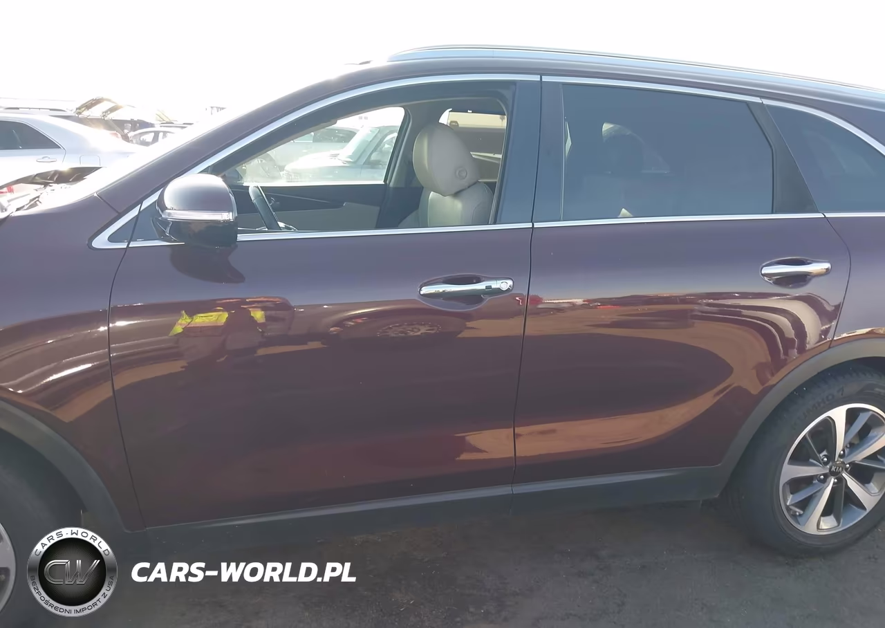 2019 Kia Sorento 3.3L Ex VIN:5XYPH4A57KG445017 - 15